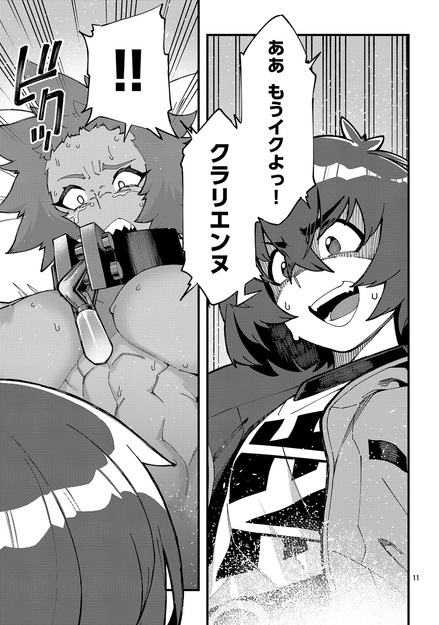 Page 11