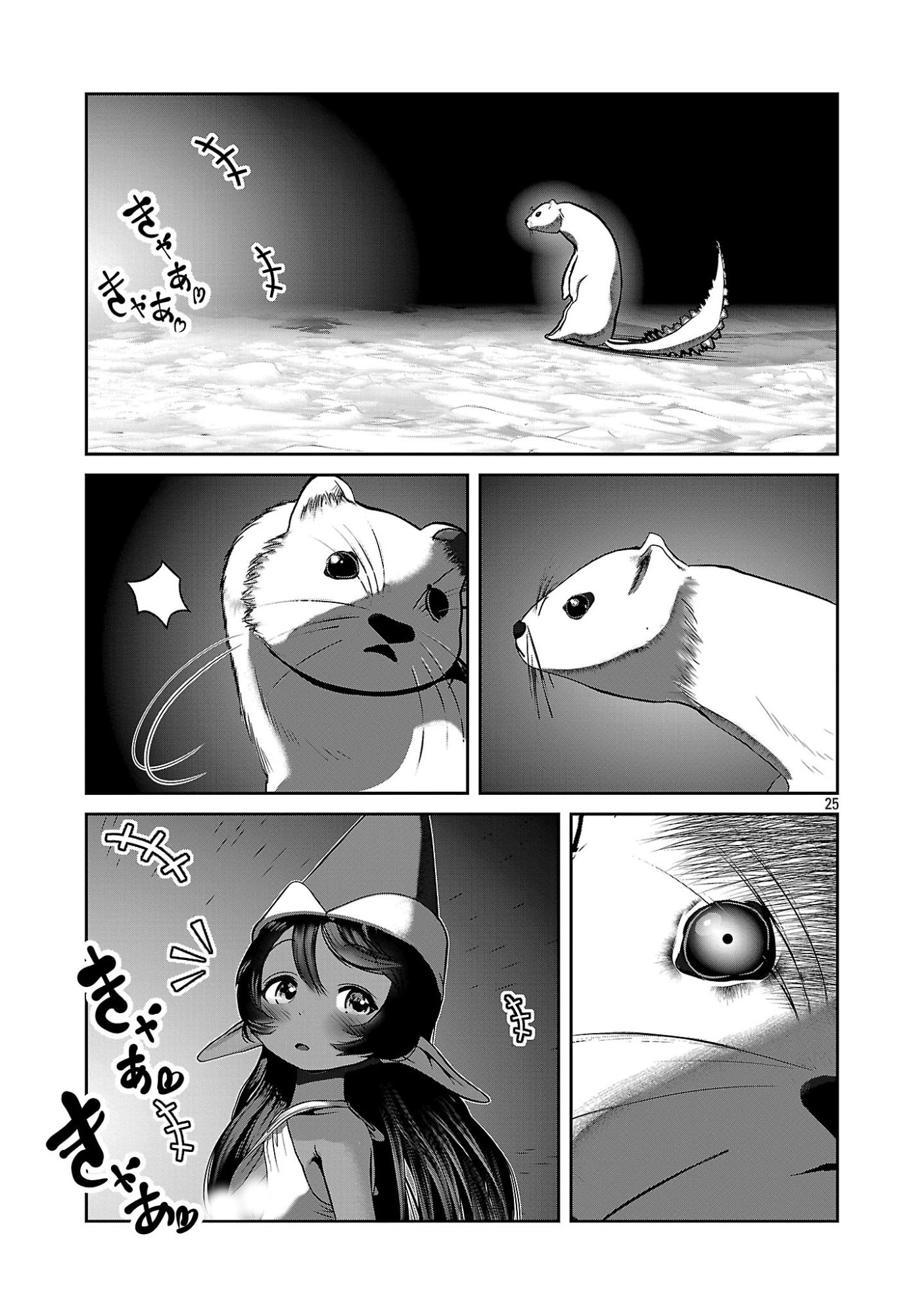 Page 25