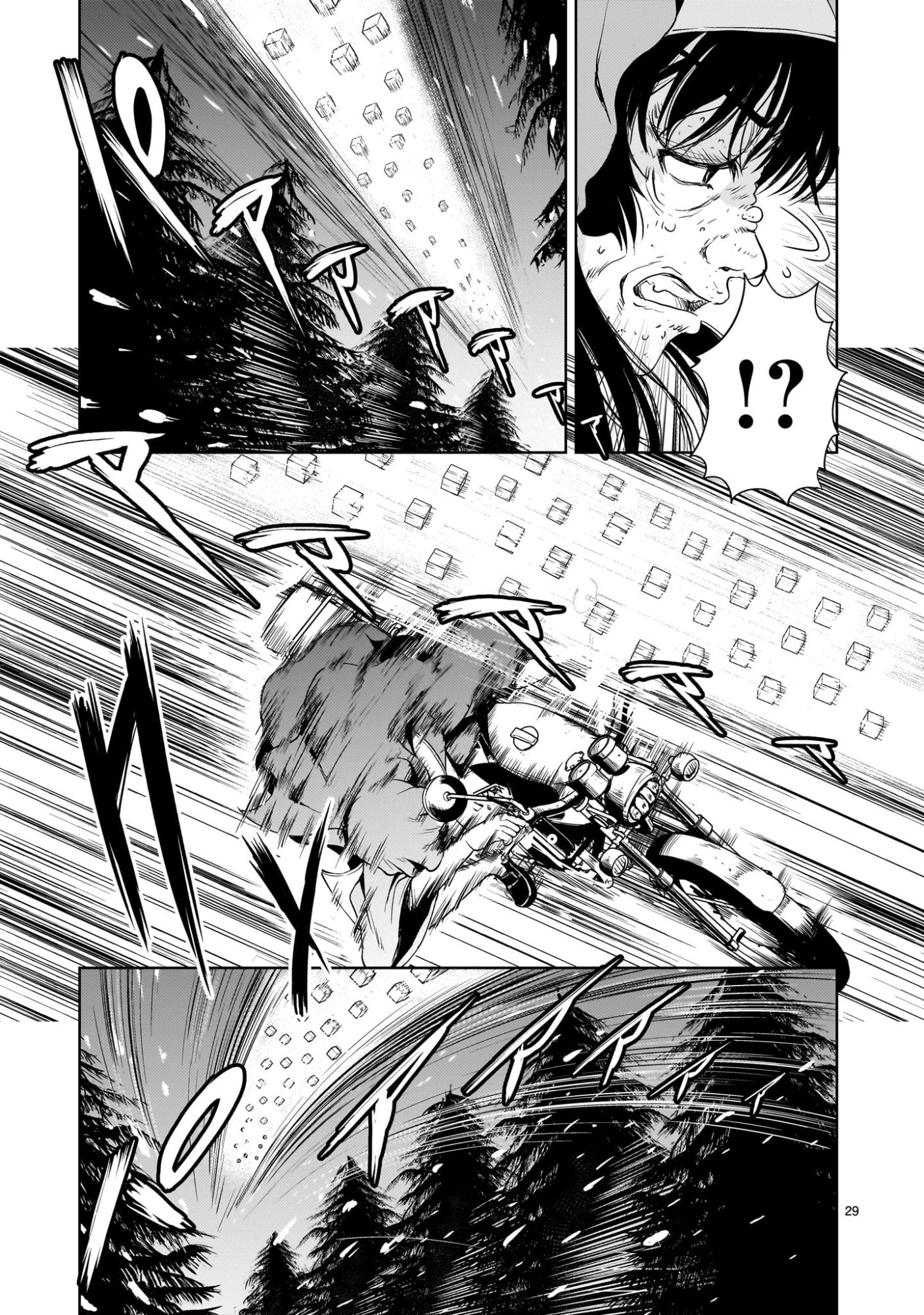 Page 29