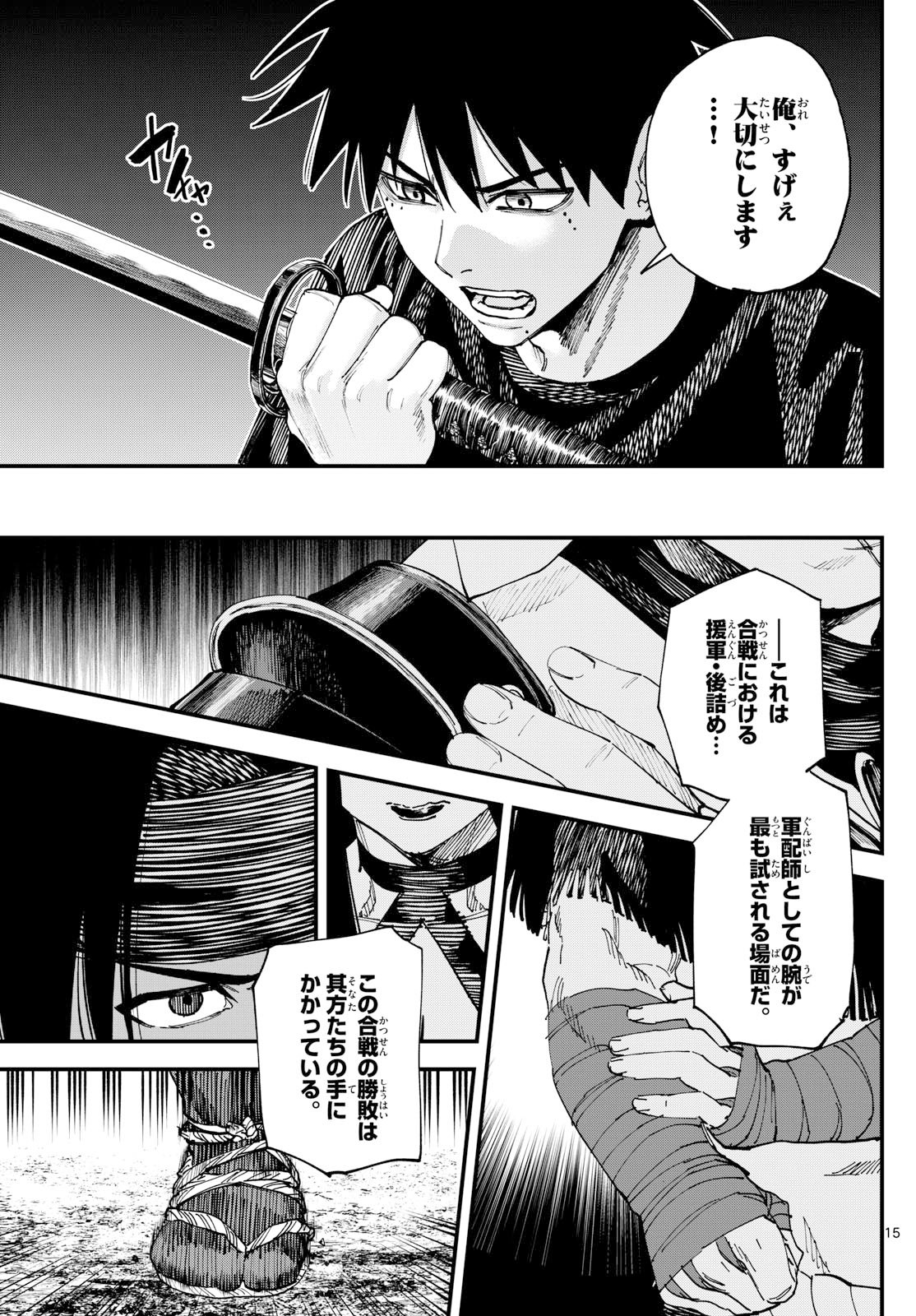 Page 15
