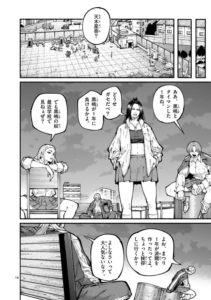 Page 14