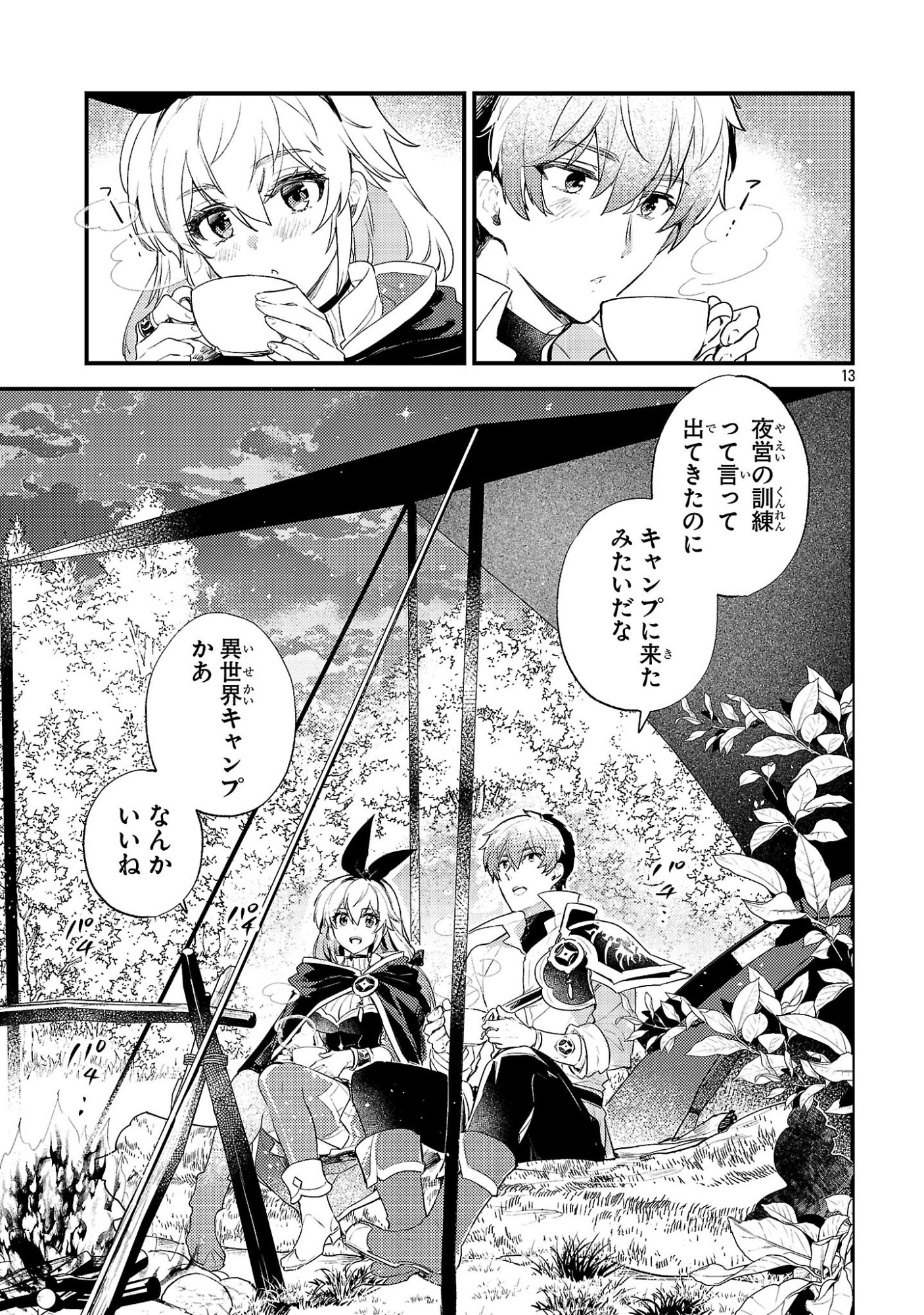 Page 13