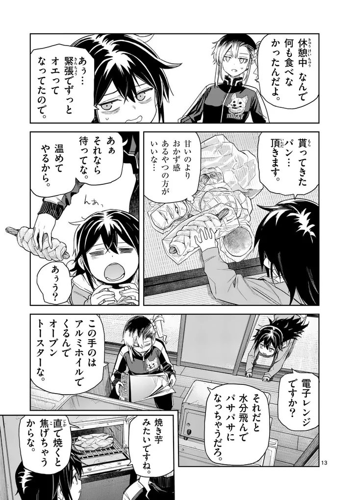 Page 13