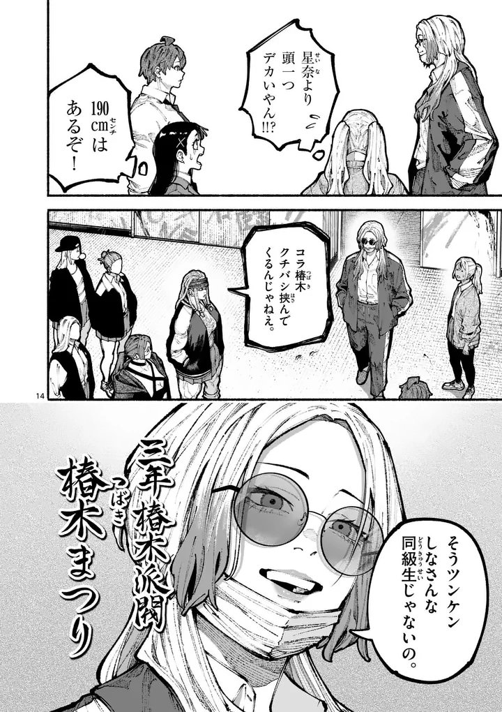 Page 14