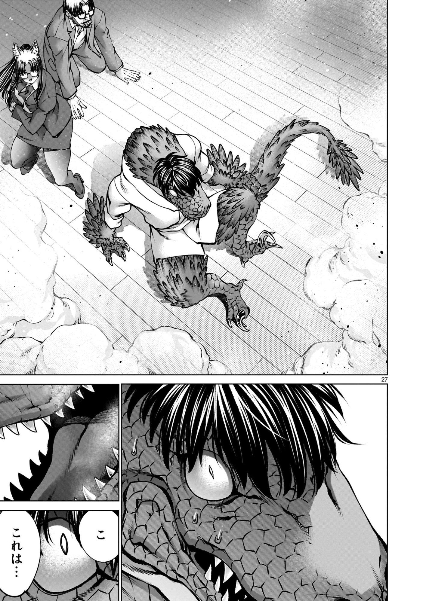 Page 27