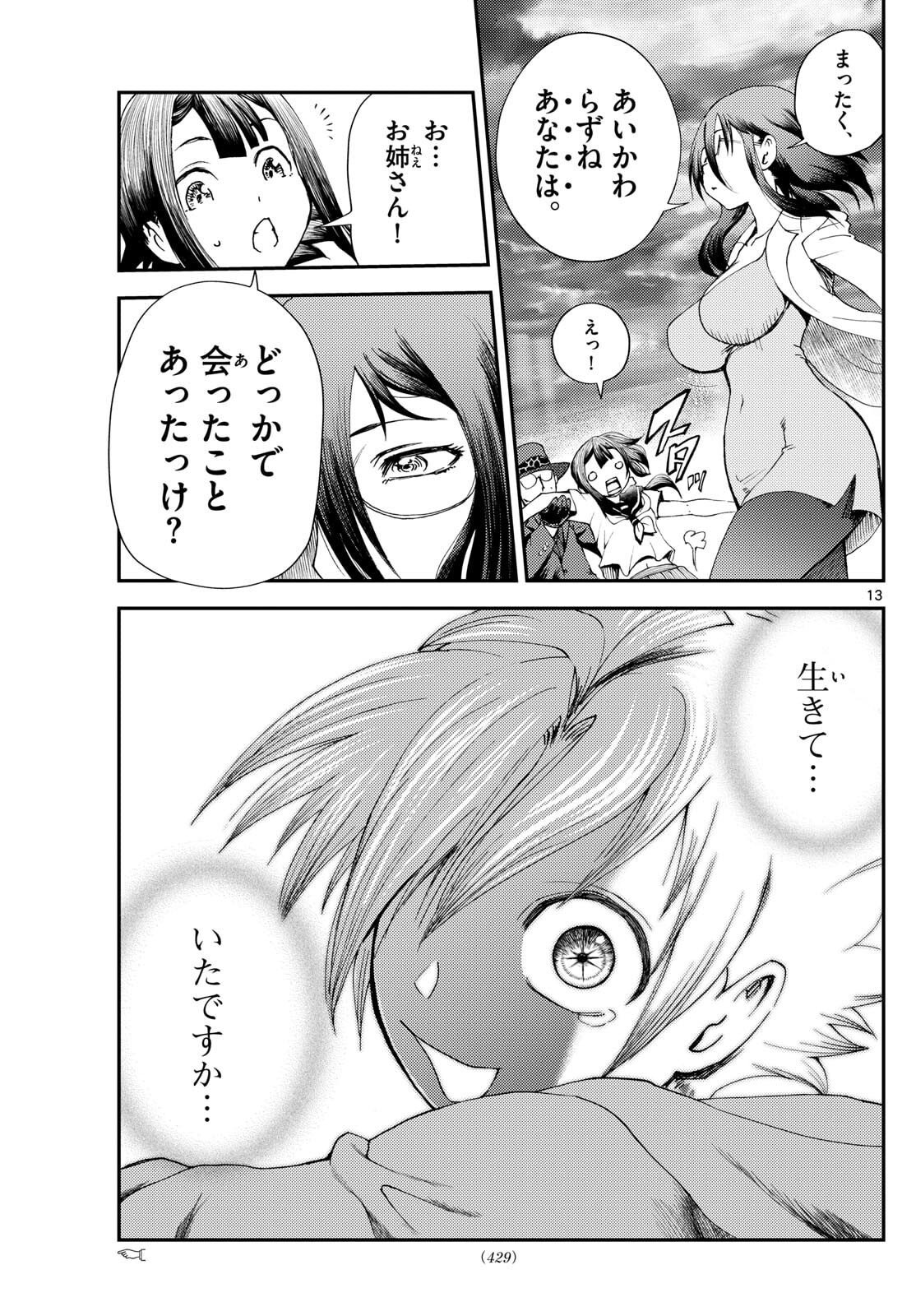 Page 13