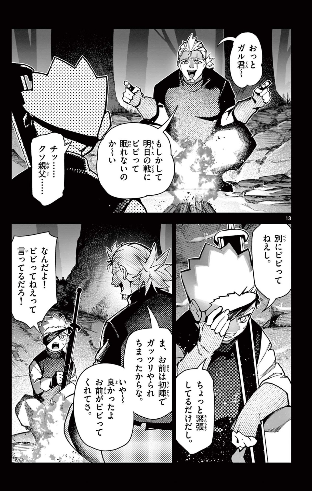 Page 13