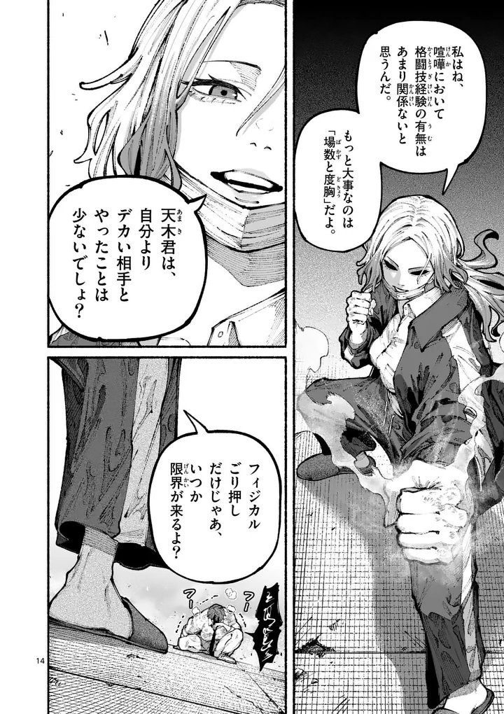 Page 14