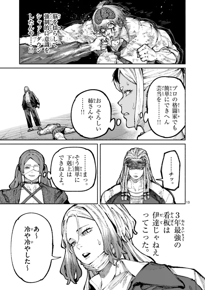 Page 13