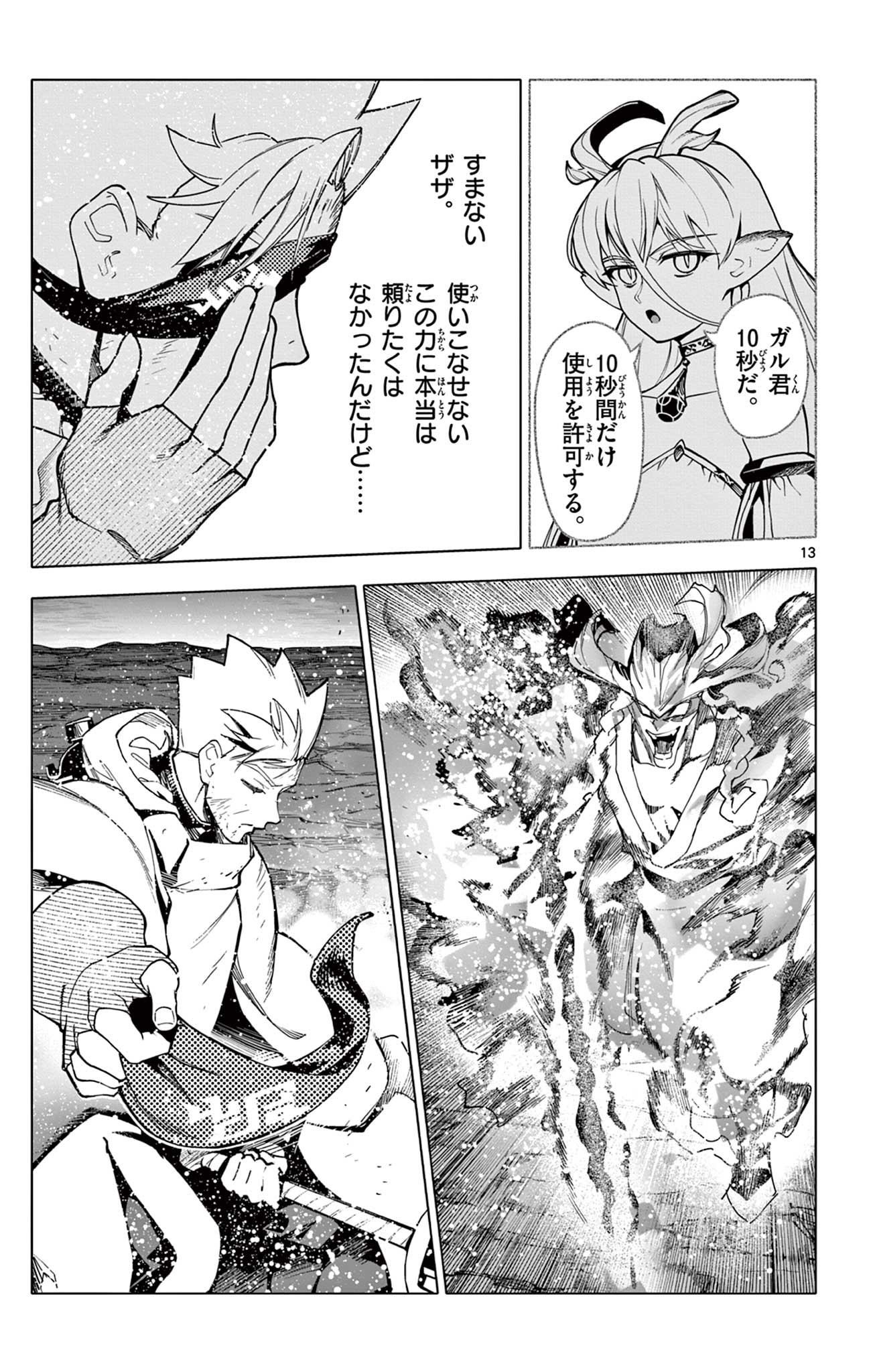 Page 13