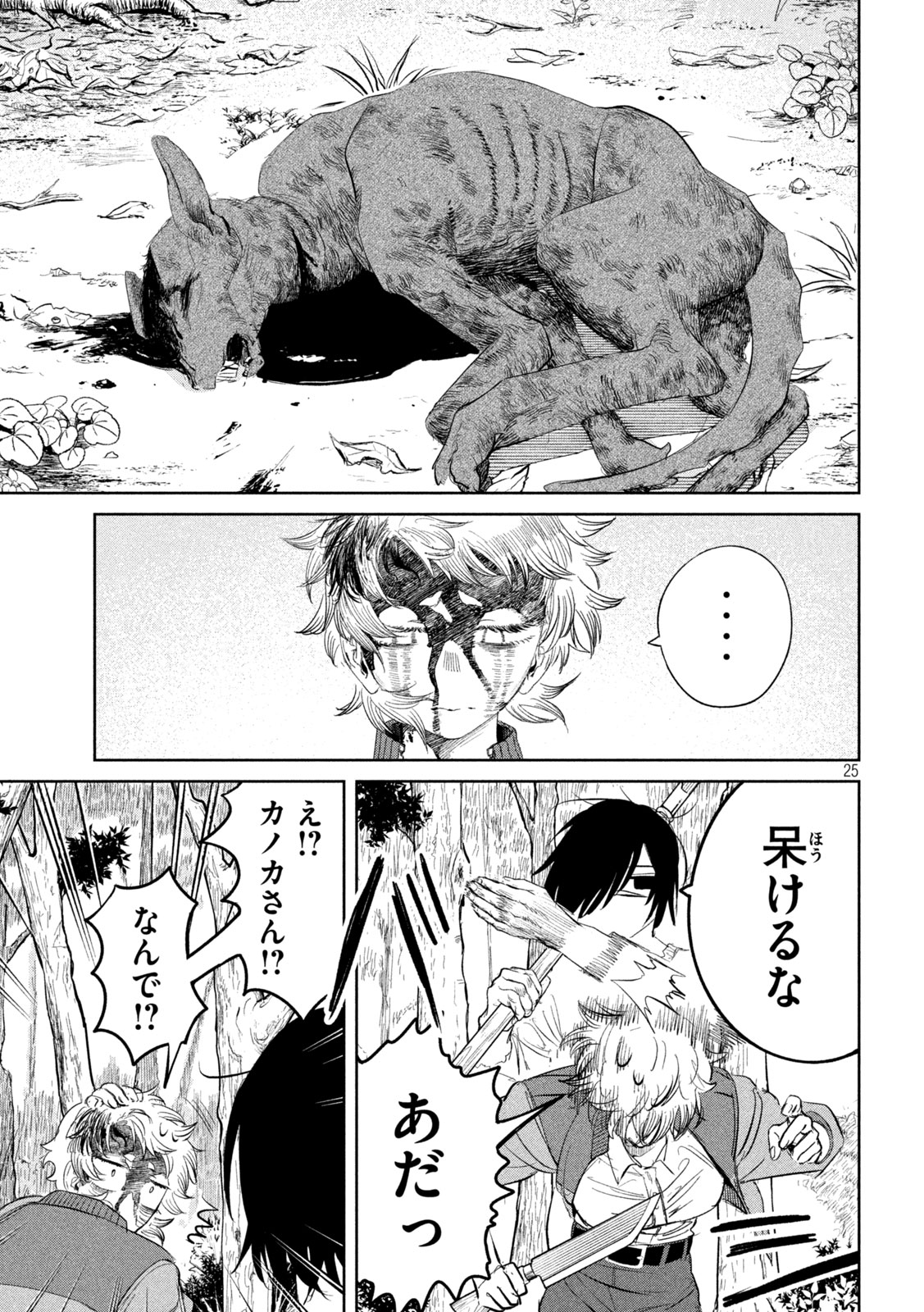 Page 25