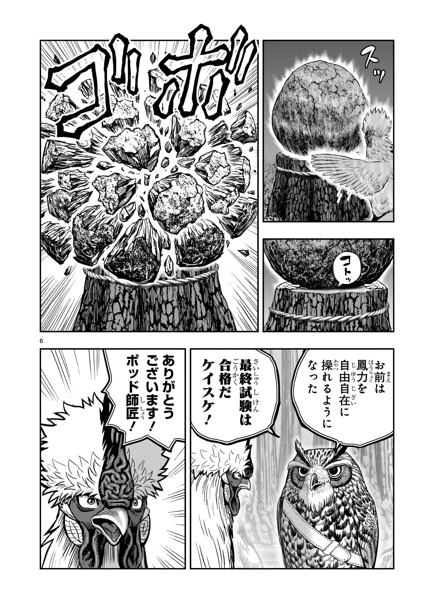 Page 6