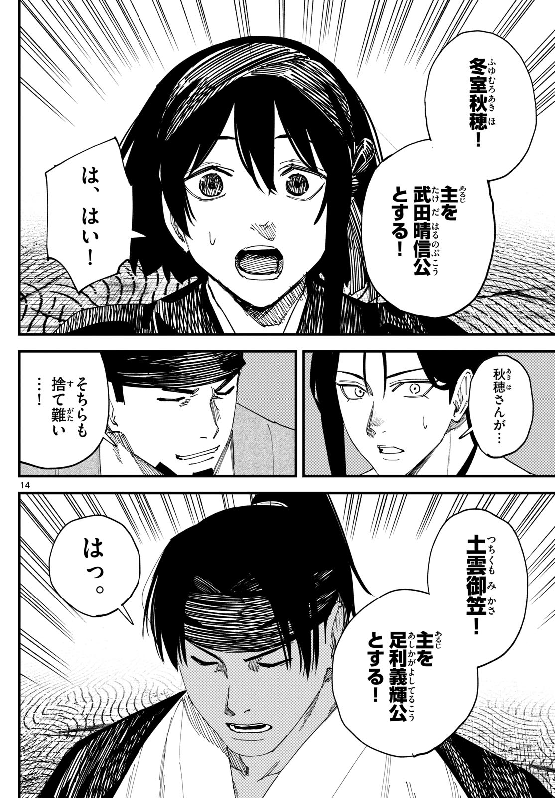 Page 14
