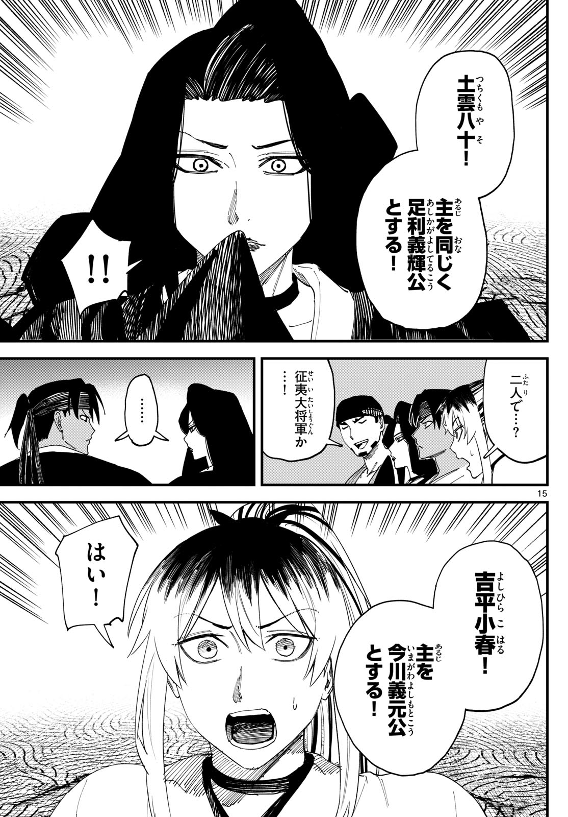 Page 15