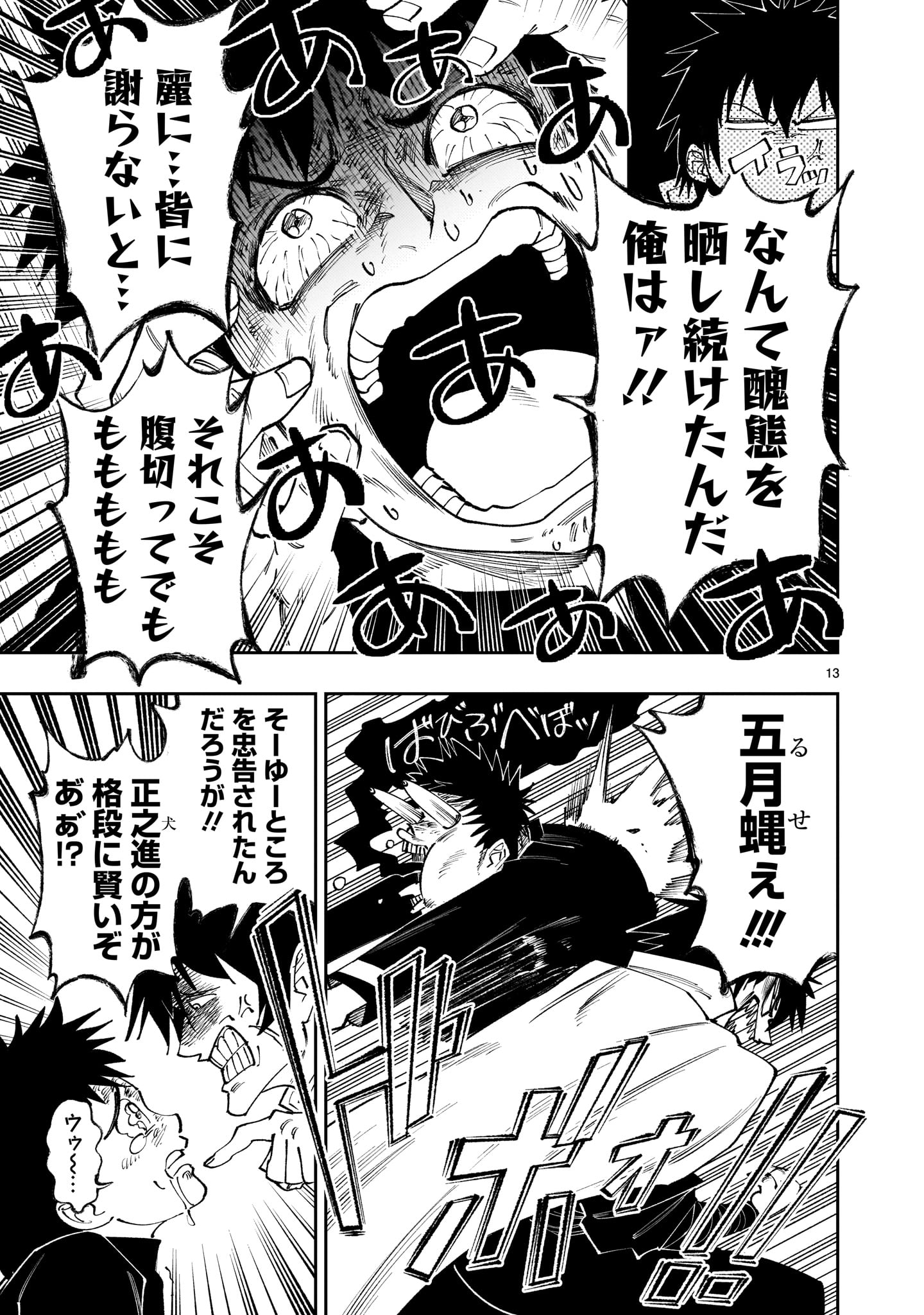 Page 13