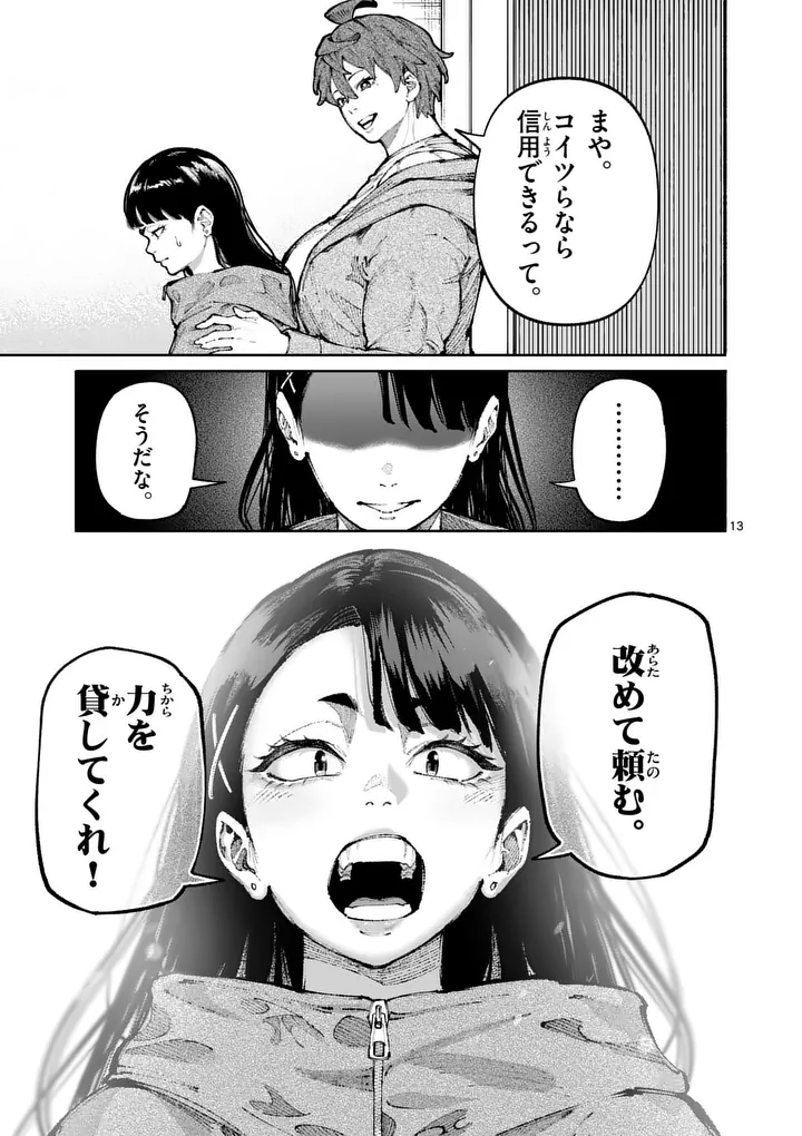 Page 13