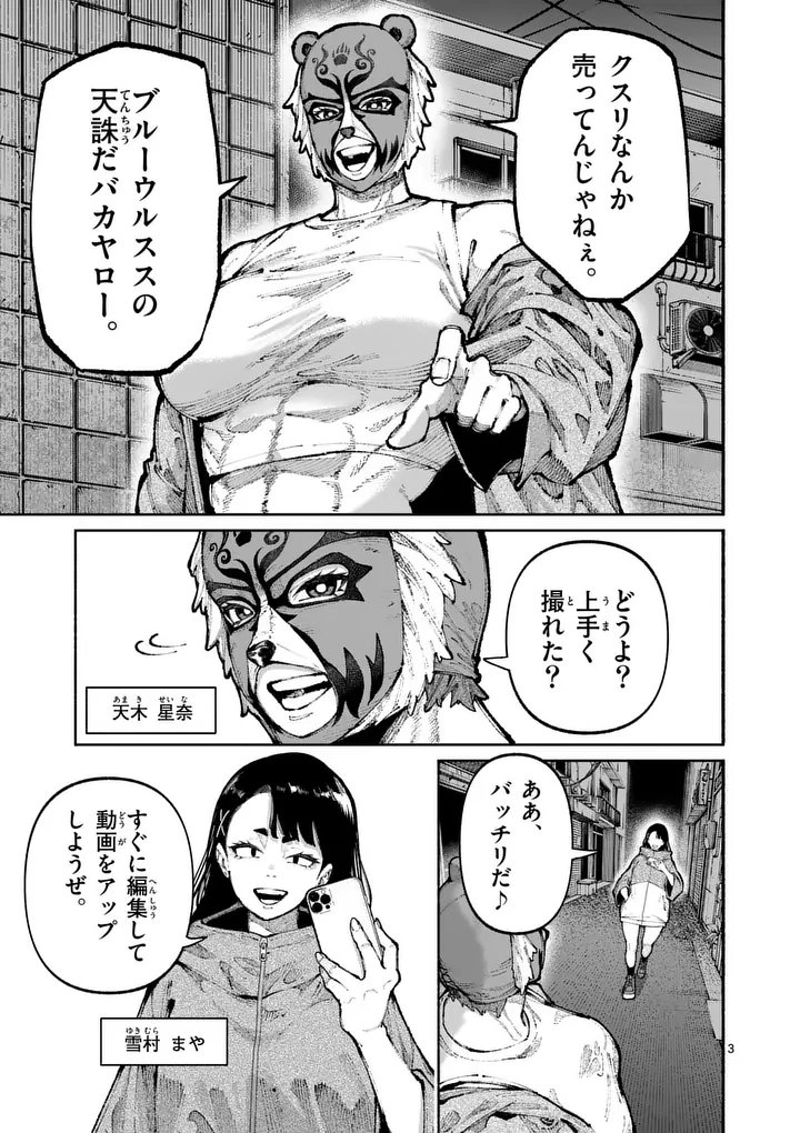 Page 3