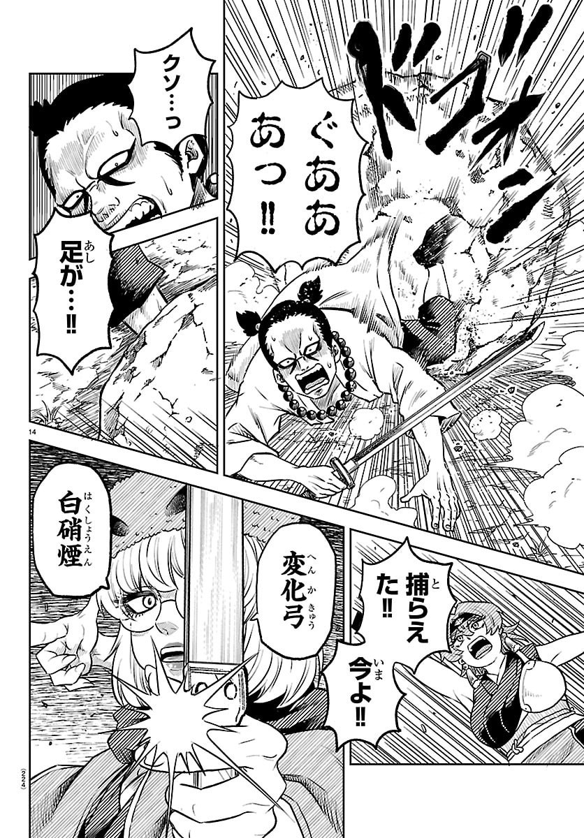 Page 14