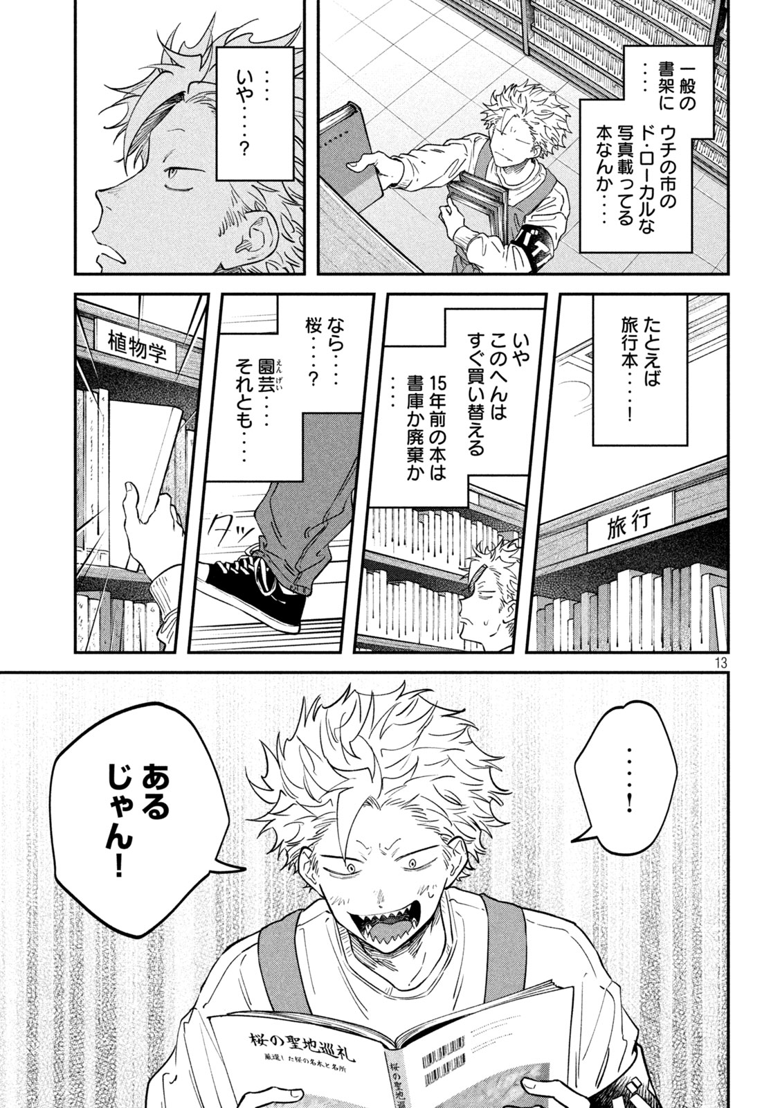 Page 13