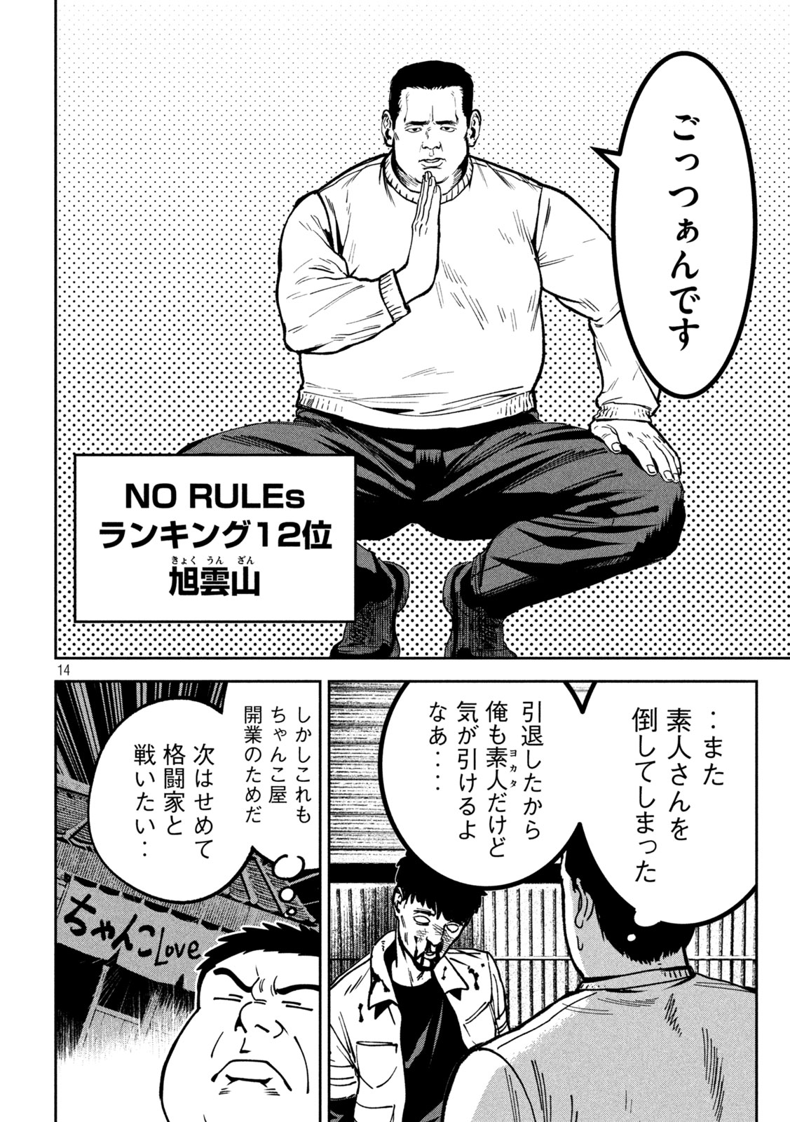 Page 14