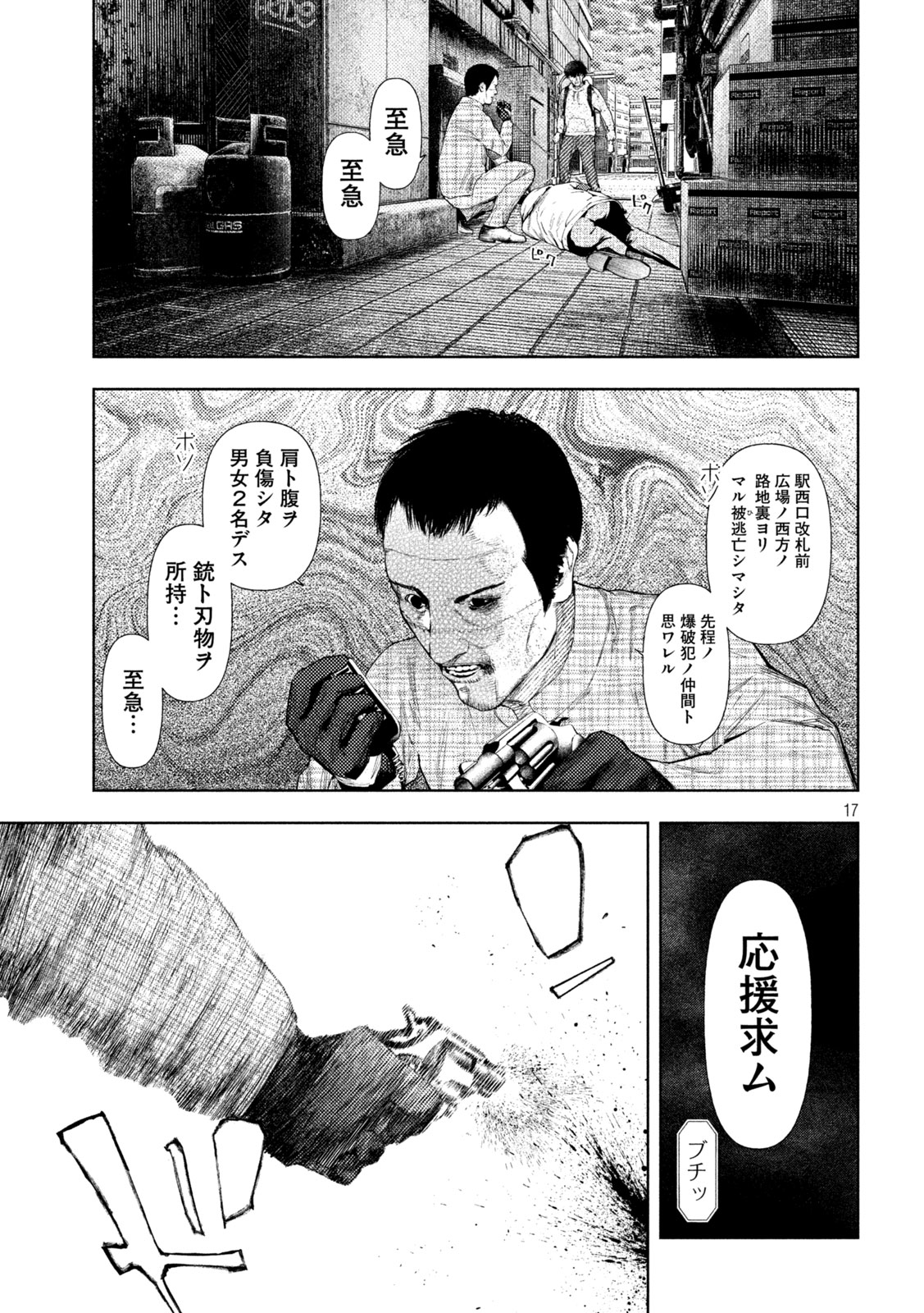 Page 17
