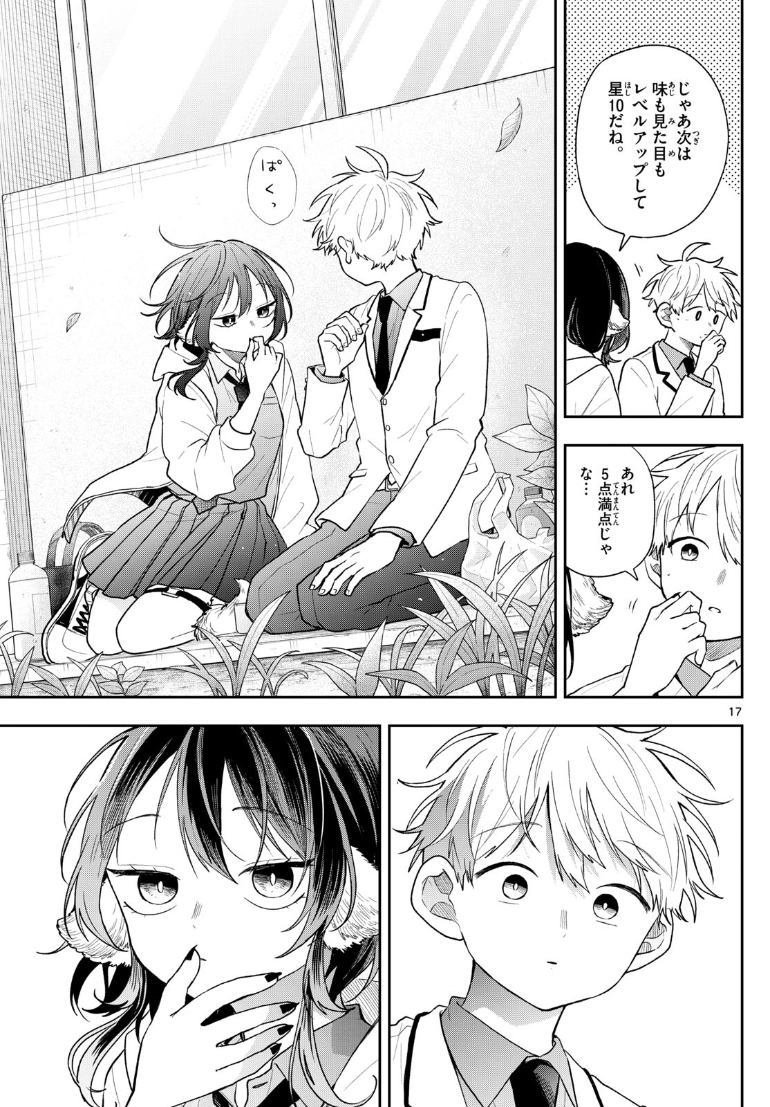 Page 17
