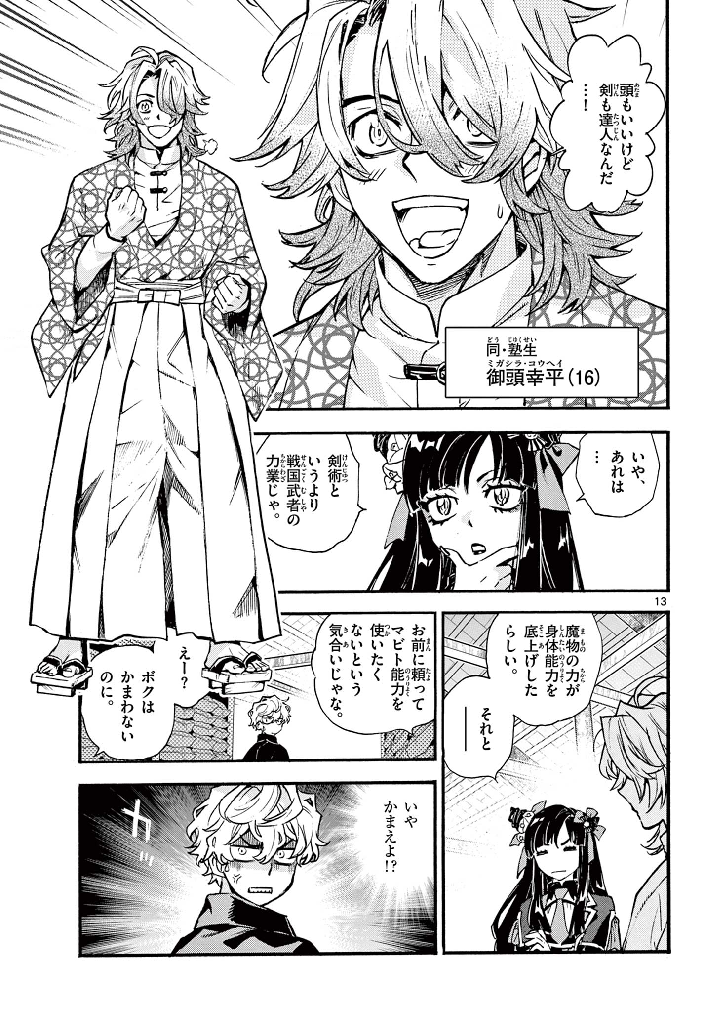 Page 13