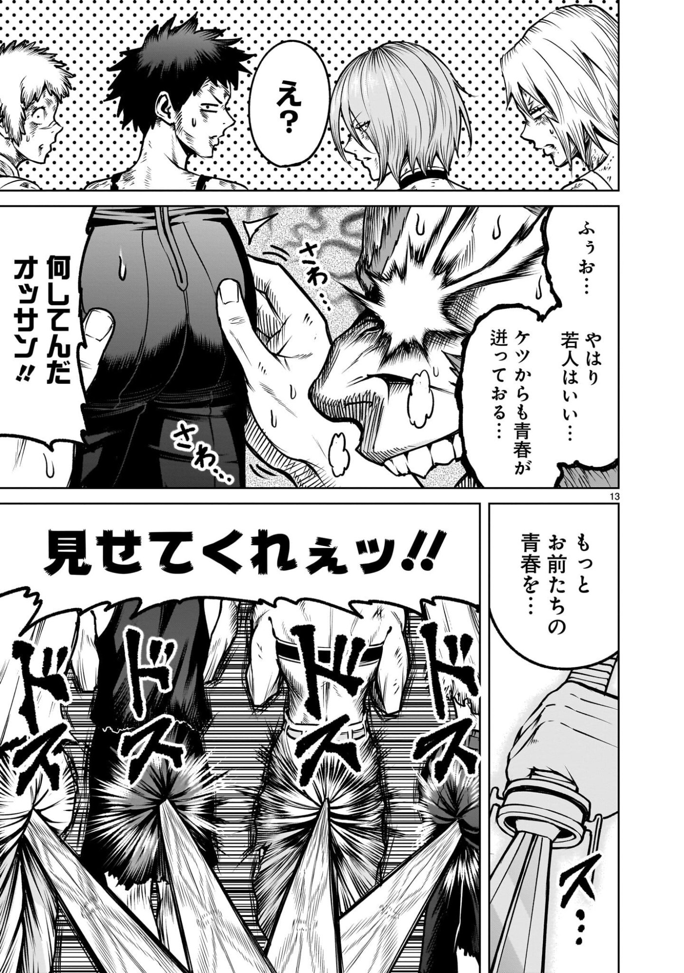 Page 13