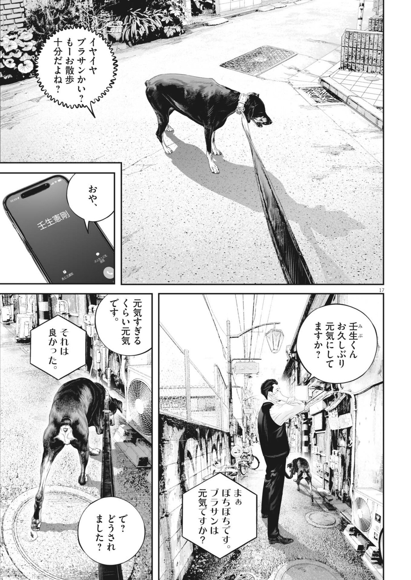 Page 17