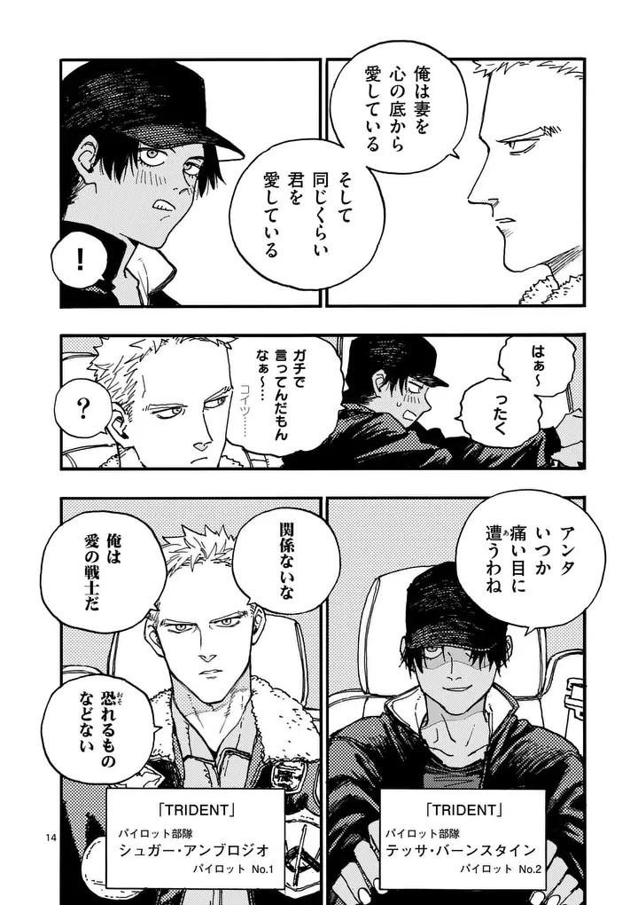 Page 14