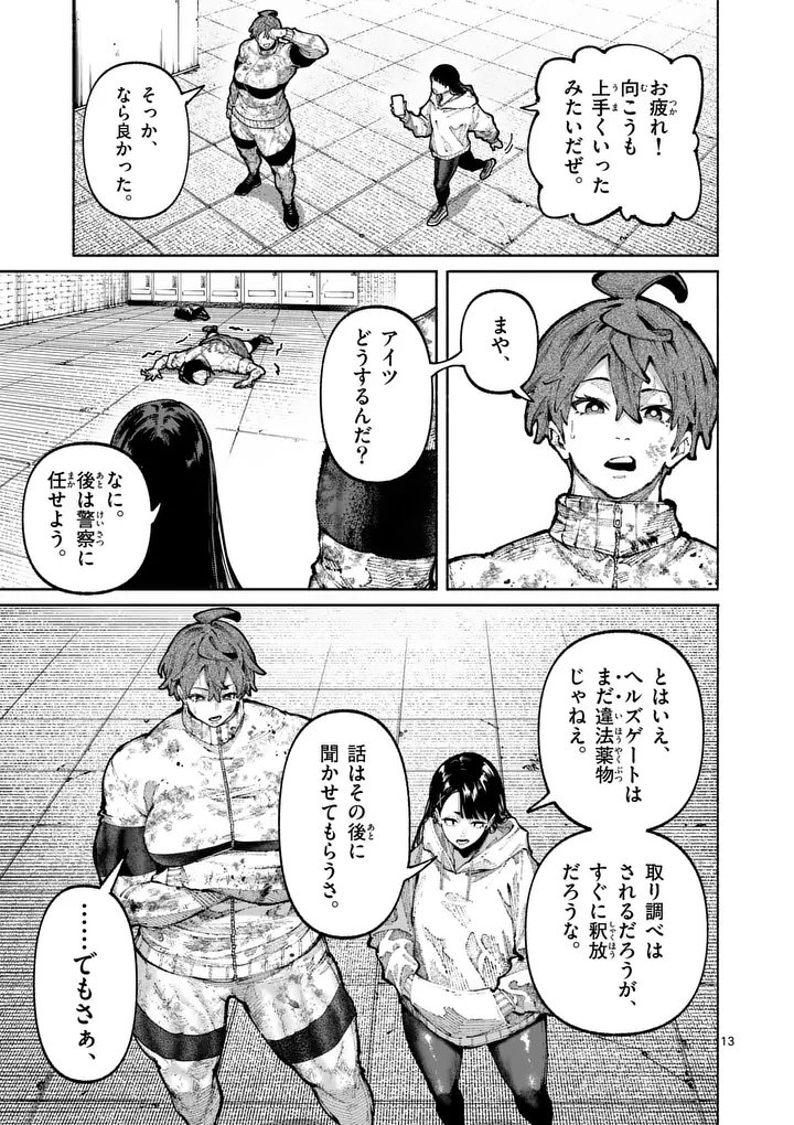 Page 13