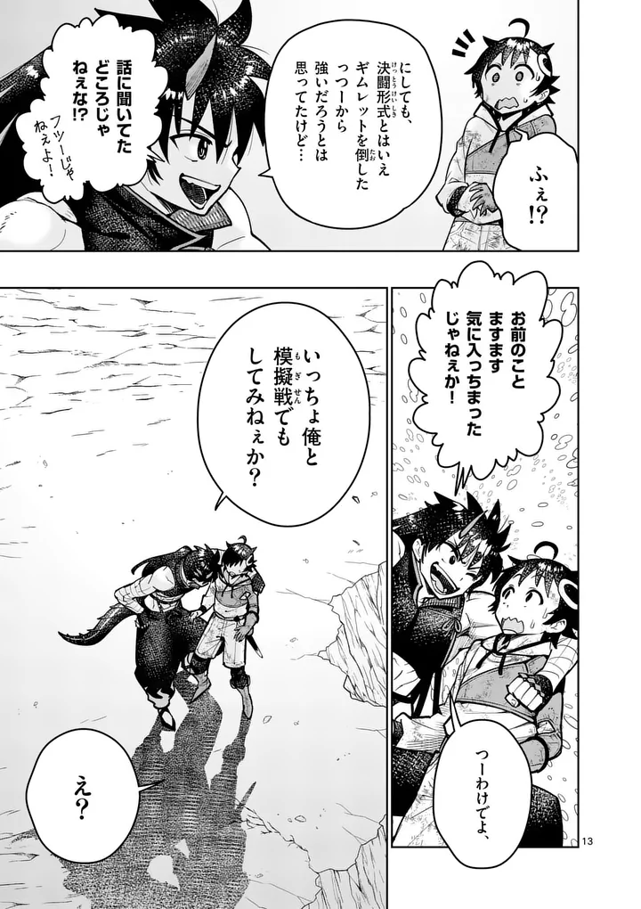 Page 13