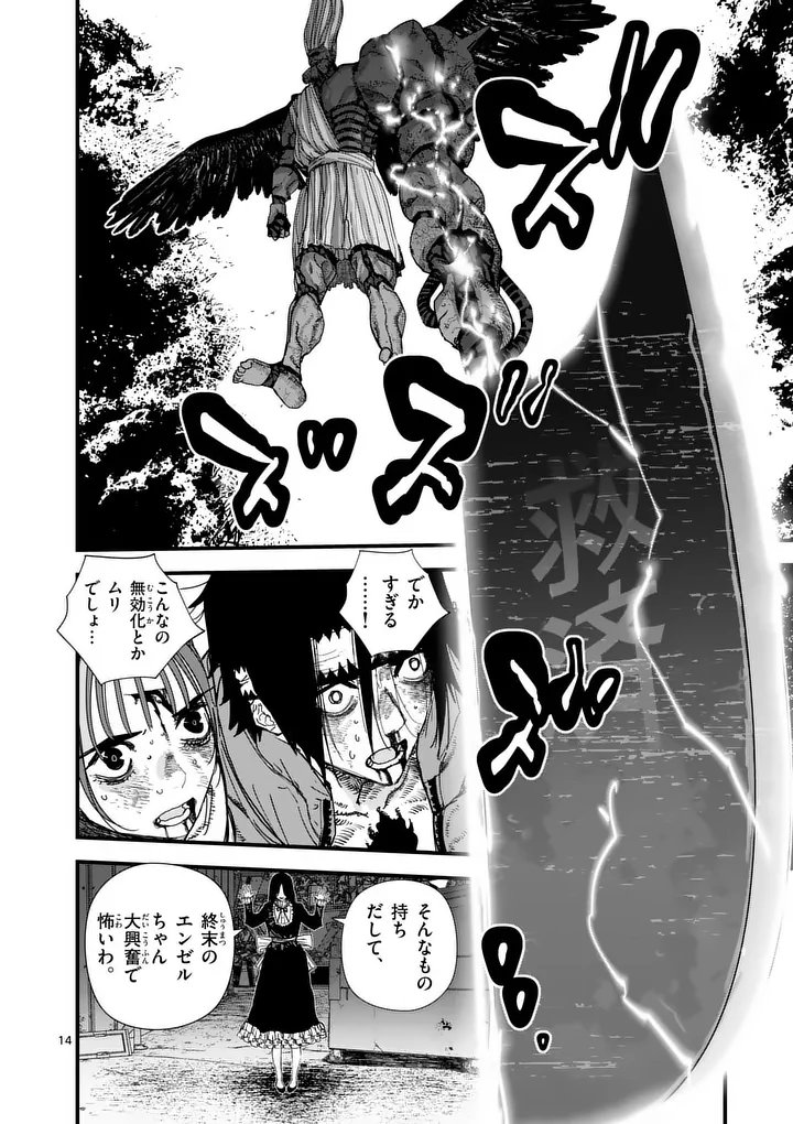 Page 14