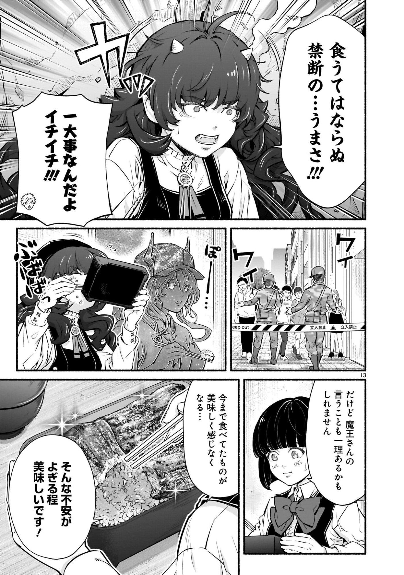 Page 13