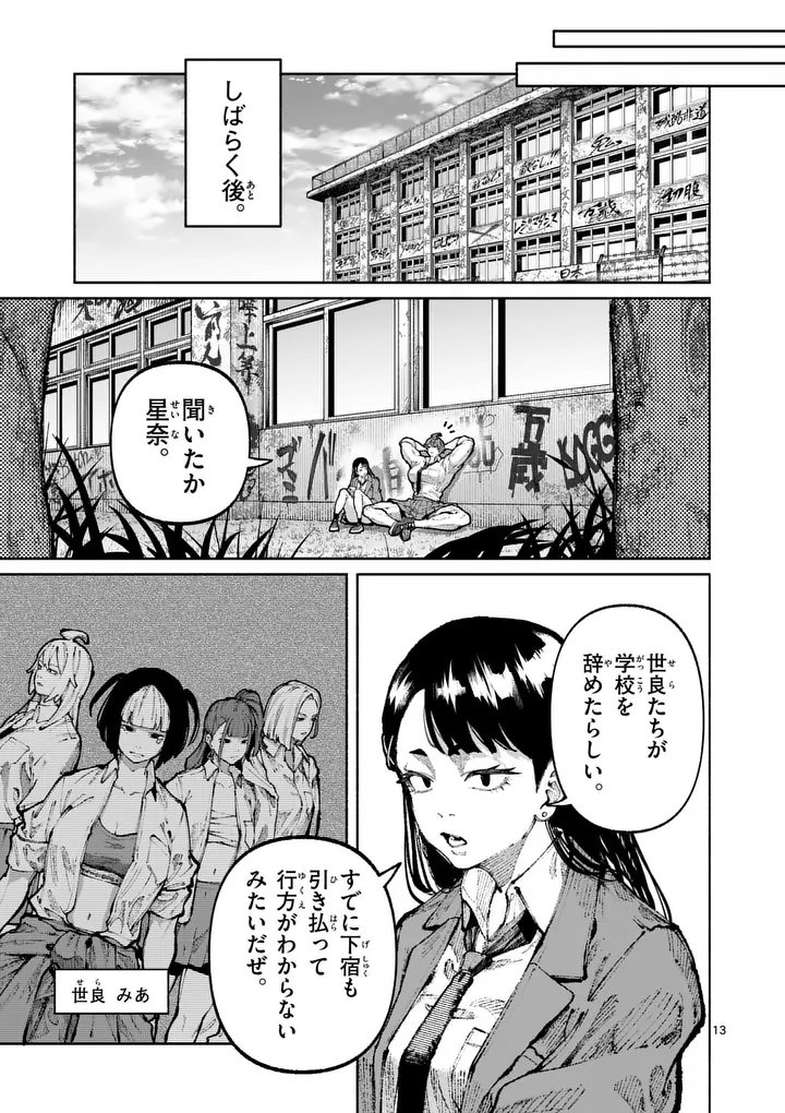 Page 13