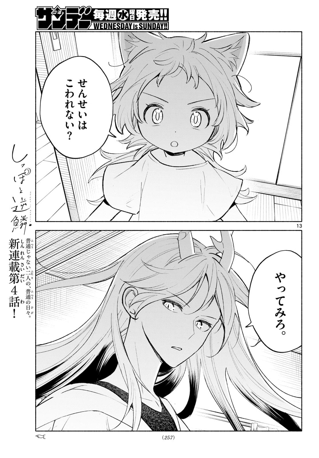 Page 13
