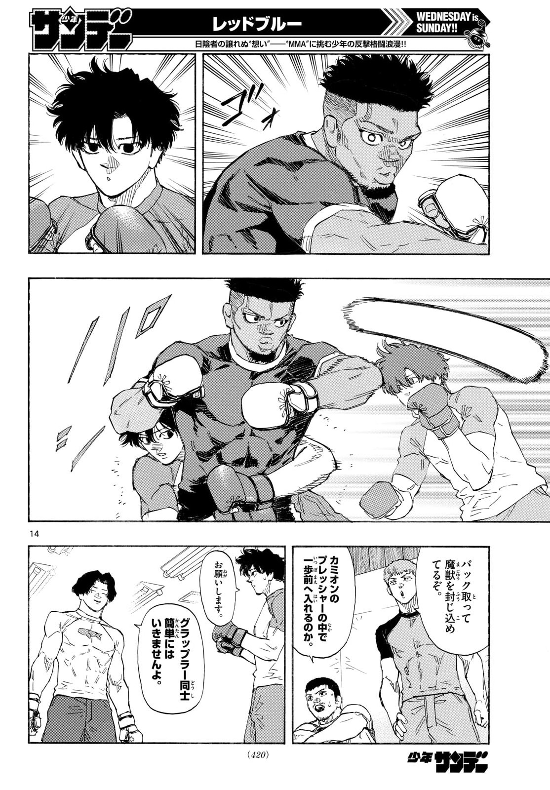 Page 14
