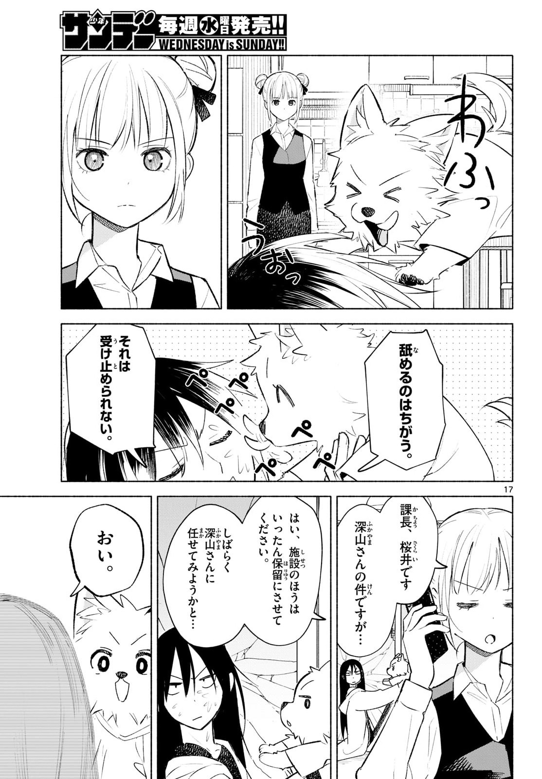 Page 17