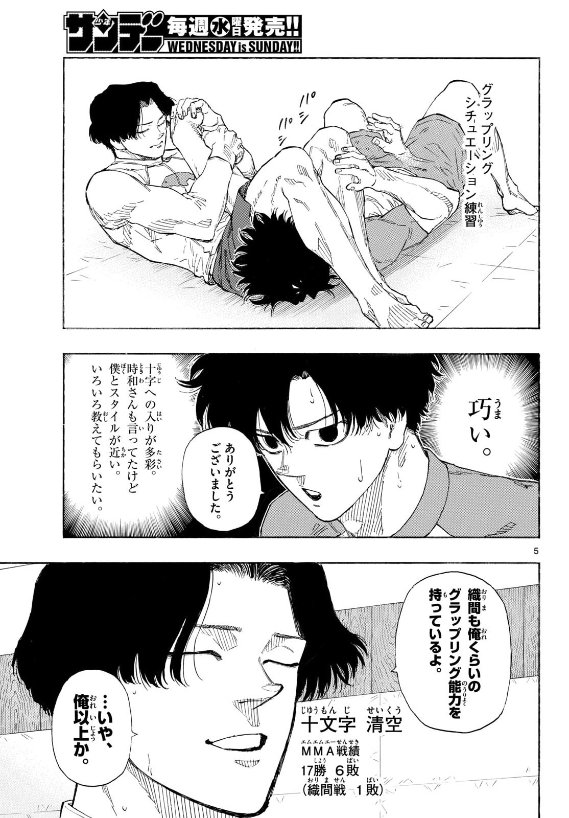 Page 5