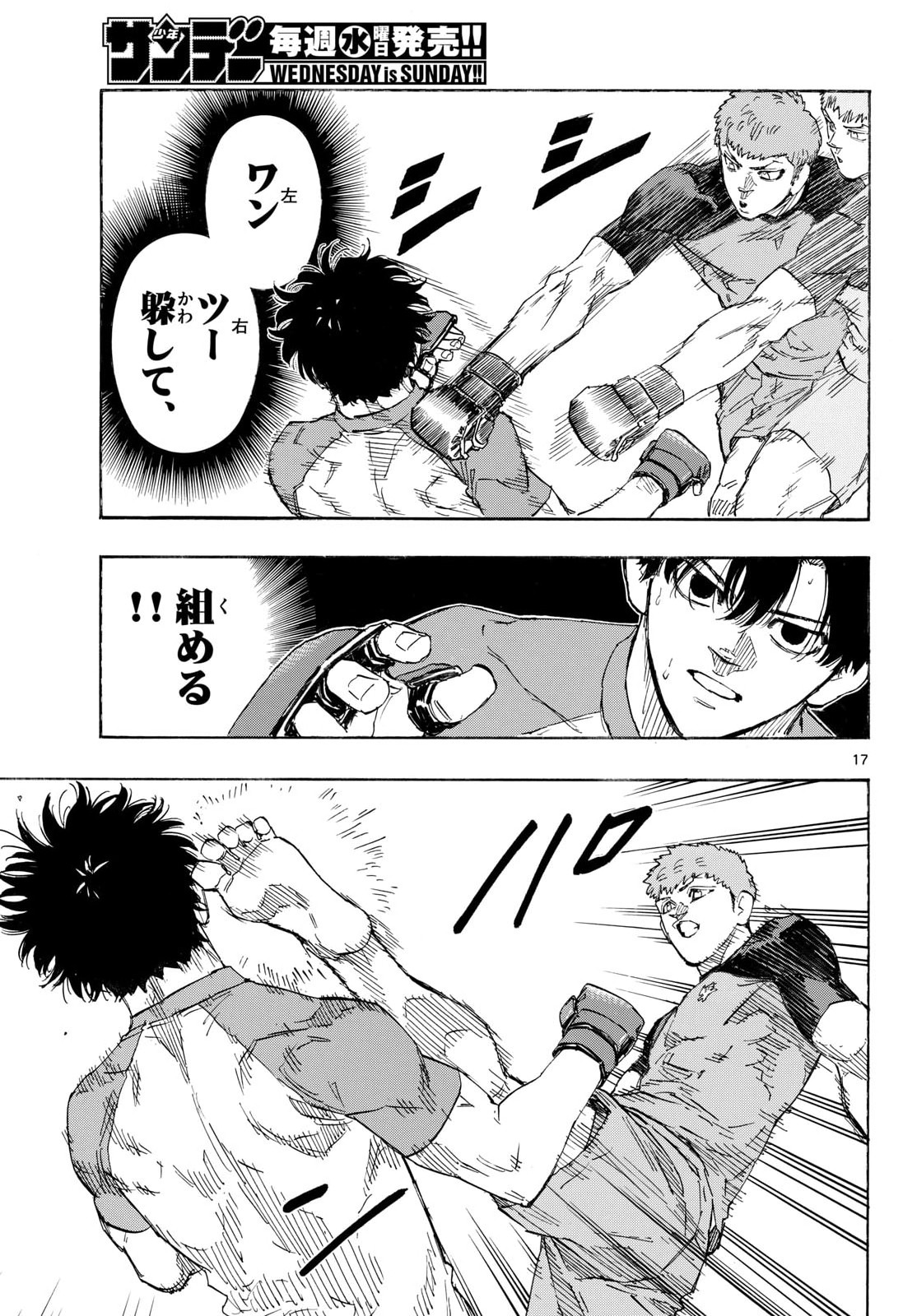 Page 17