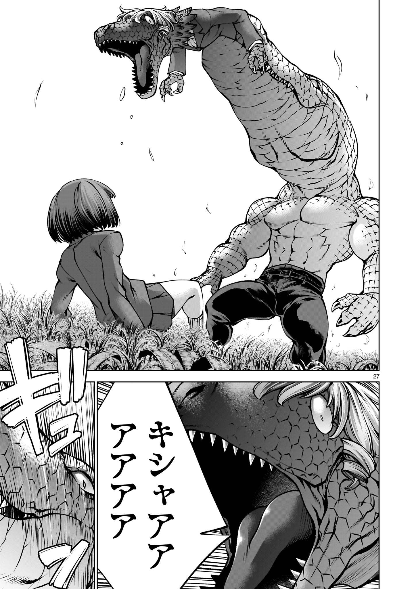 Page 27