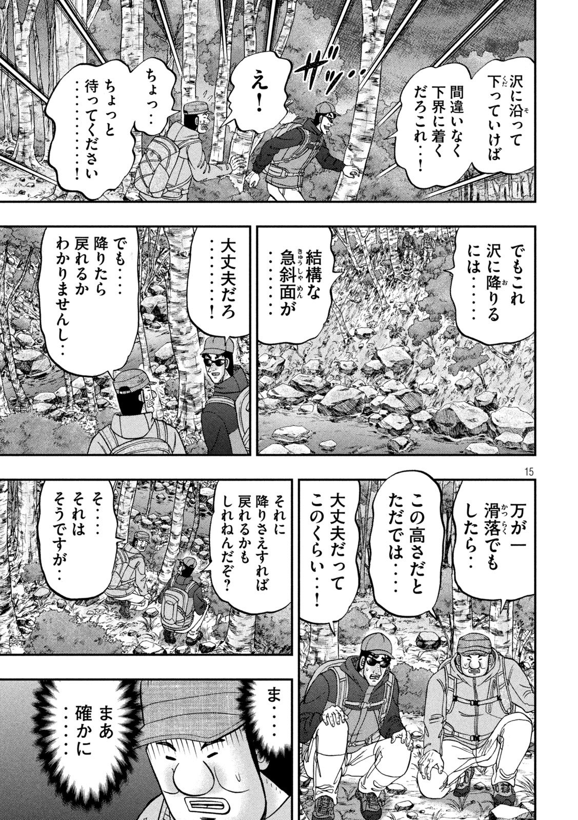 Page 15