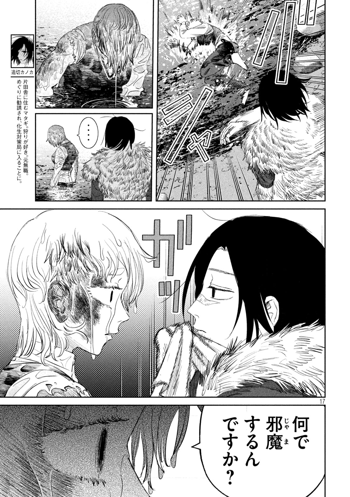 Page 17