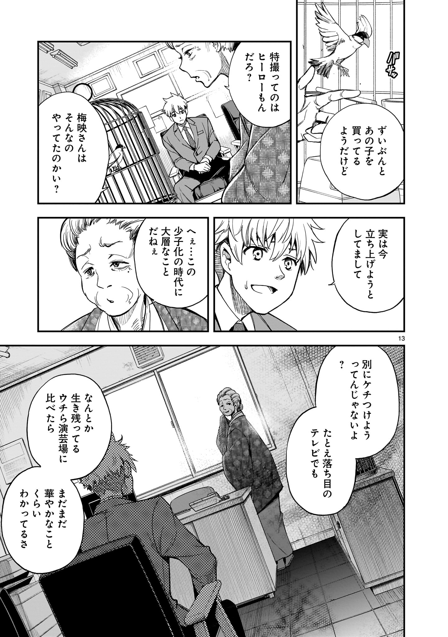 Page 13