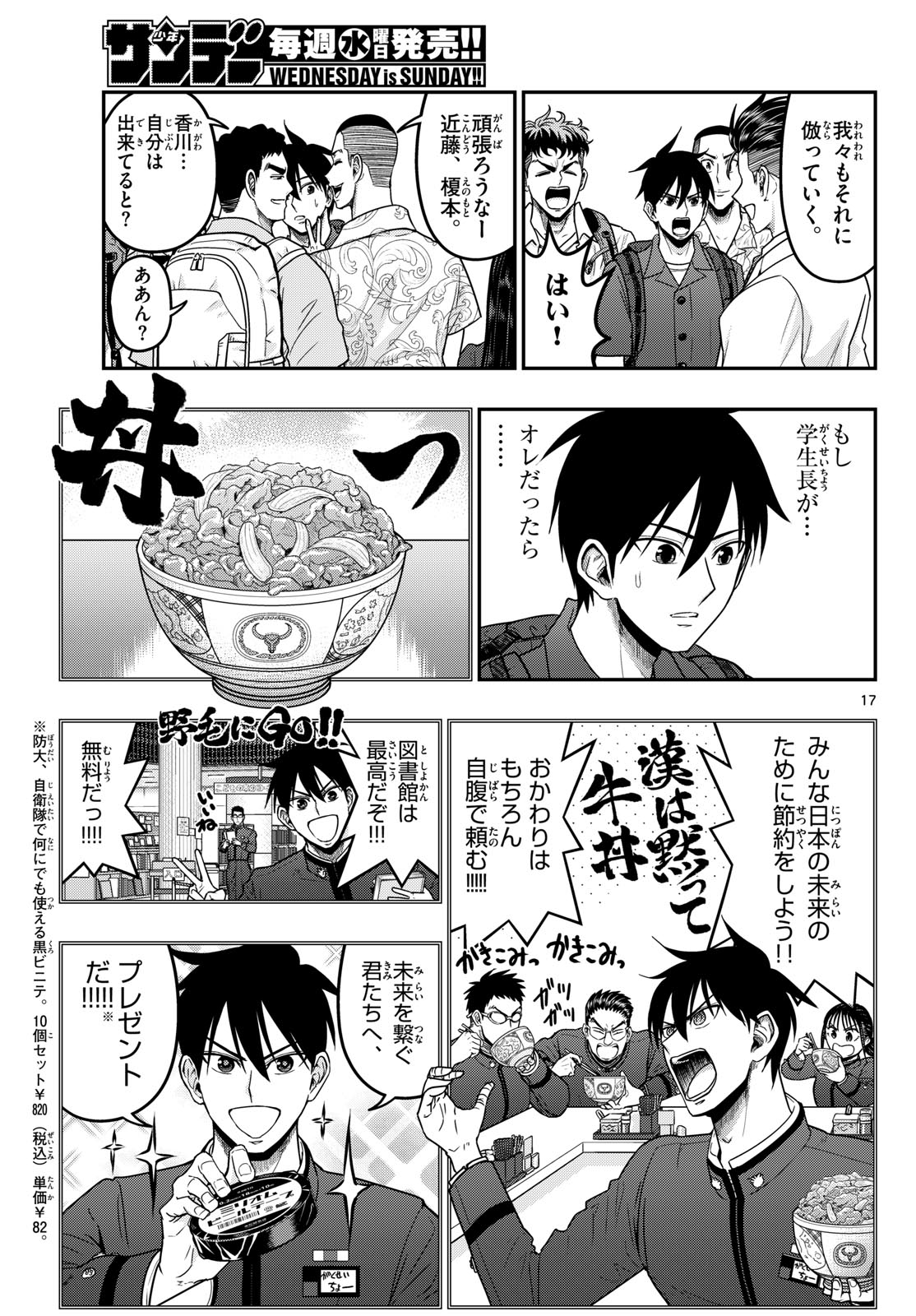 Page 17