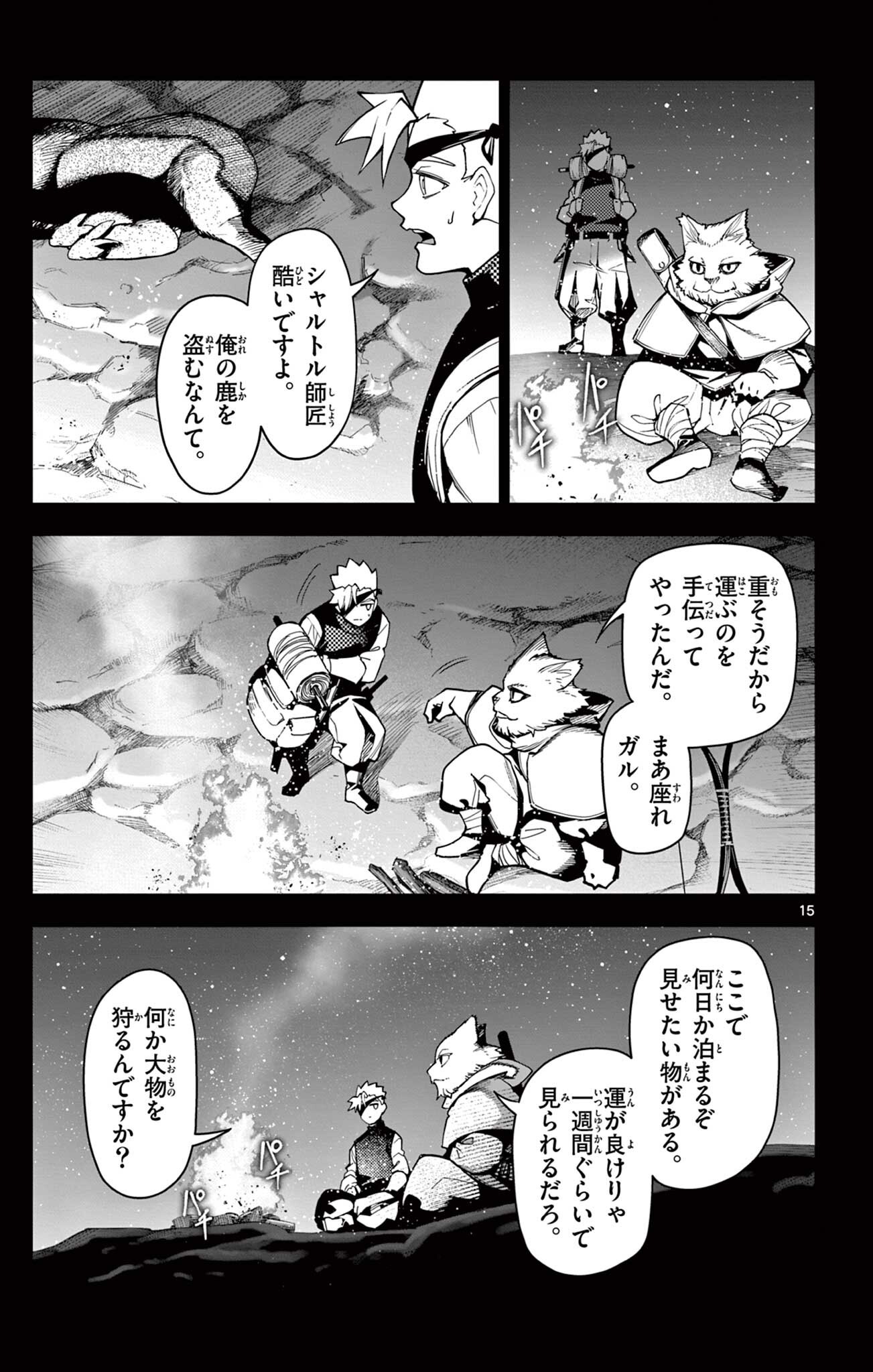 Page 15