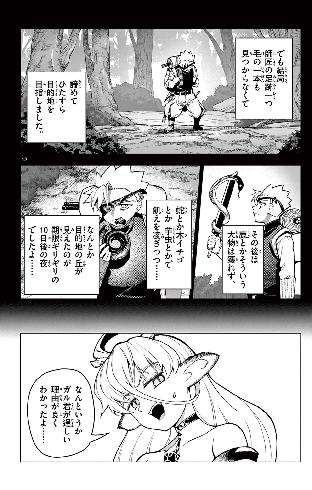 Page 12