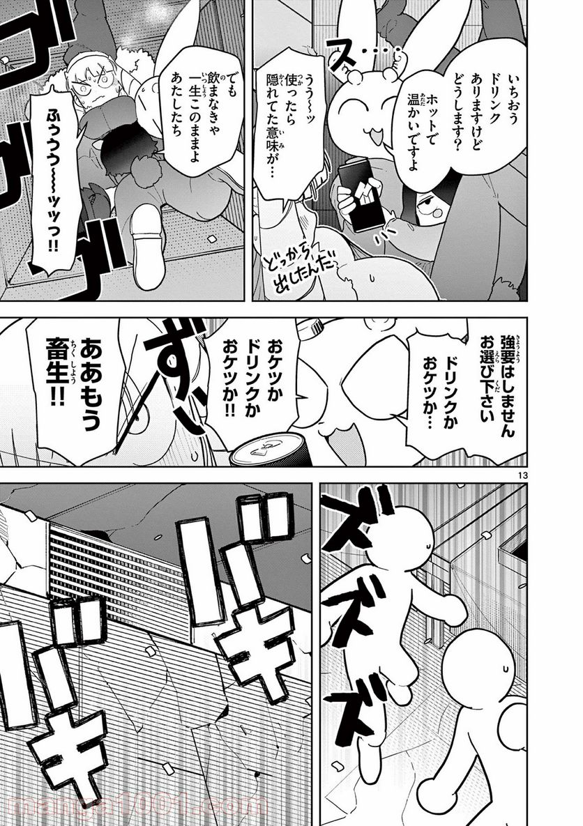 Page 13
