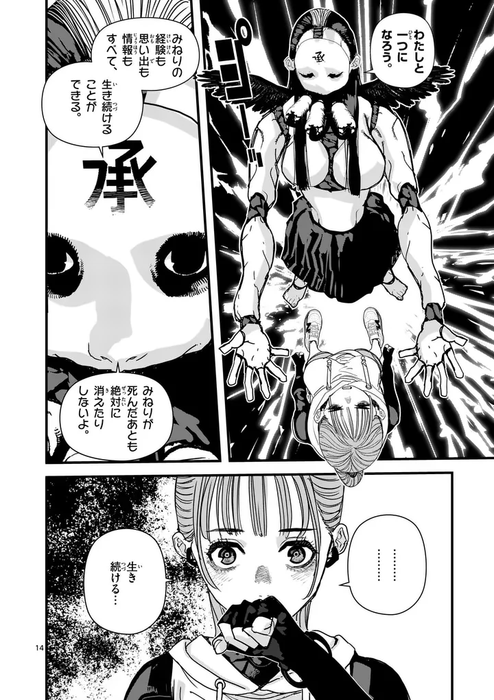 Page 14