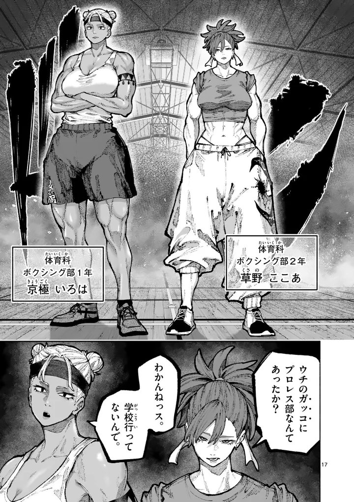 Page 17
